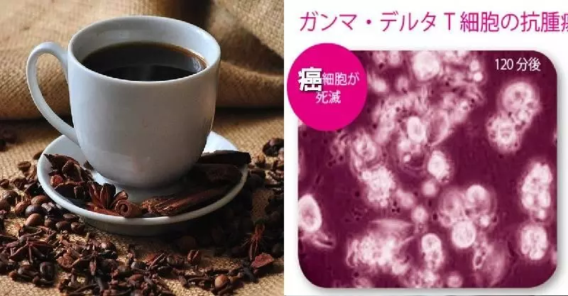 「咖啡」遠比你想像的健康!科學家解密「咖啡長壽法」!