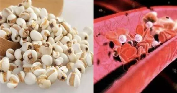這9種食物,能快速清理「血液中垃圾」!千萬不要放過它!