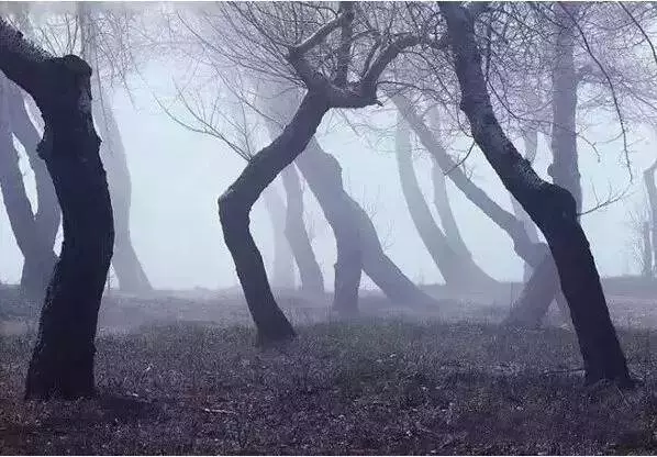 我再也不生氣了!(深度好文)