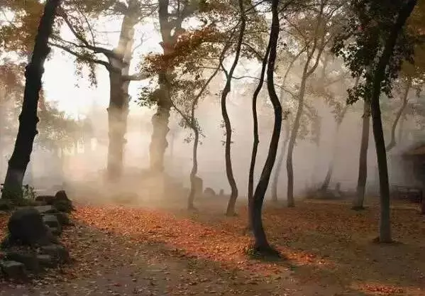 我再也不生氣了!(深度好文)