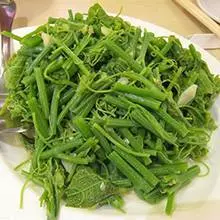 多年的糖尿病被自己種的菜給斷根了,發給需要的試試...
