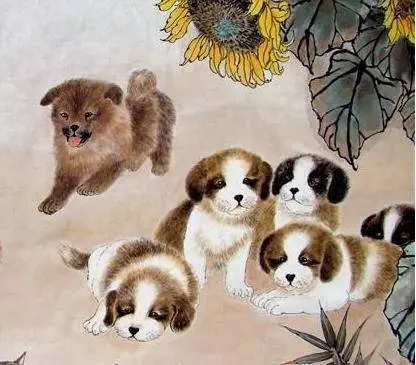 一輩子最有福氣的生肖,前五名,有你嗎?