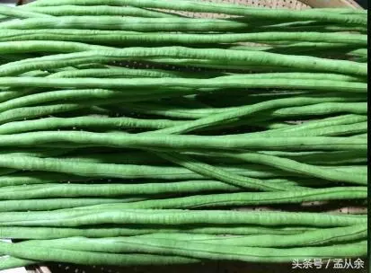 簡易做酸豆角,三四天即可吃,酸脆可口,試試? -