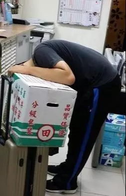 流浪狗以為能過好日子，沒想到被收養10天後，竟慘遭人迫害