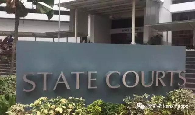 新加坡家庭主婦5年賺了3500多萬新幣!然後今天被判刑了~