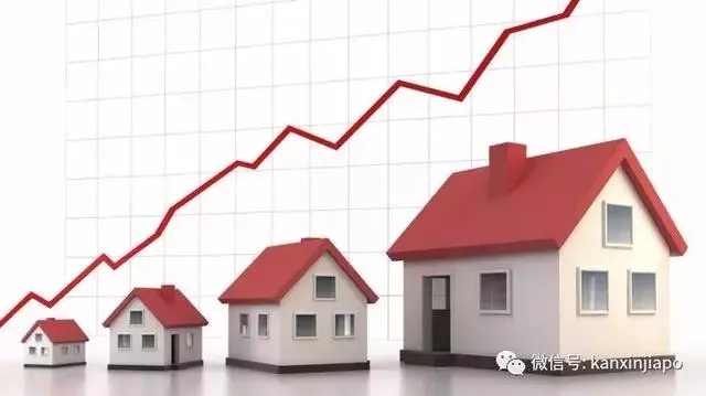 新加坡家庭主婦5年賺了3500多萬新幣!然後今天被判刑了~