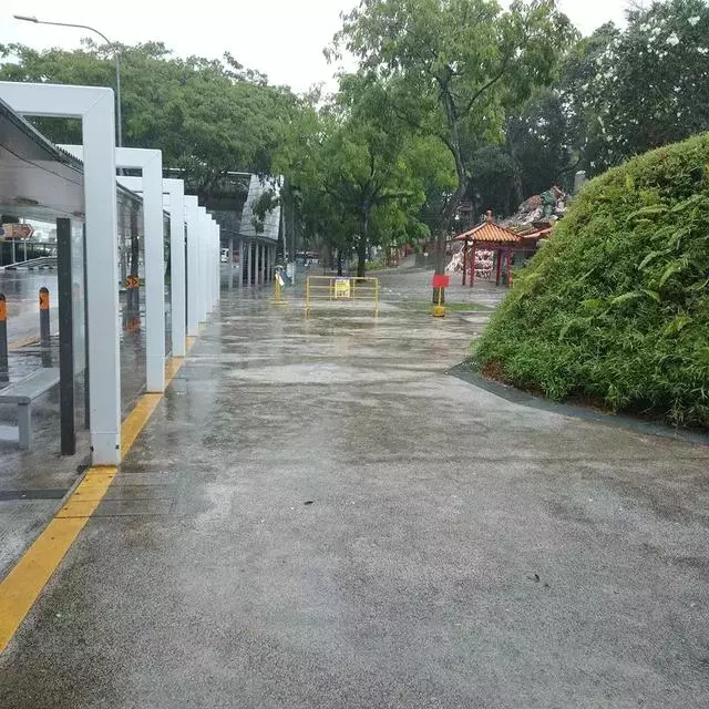新加坡真是小仙女本尊了,從「仙境」到「末日」,只用了一夜!