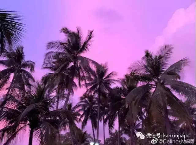 新加坡真是小仙女本尊了,從「仙境」到「末日」,只用了一夜!