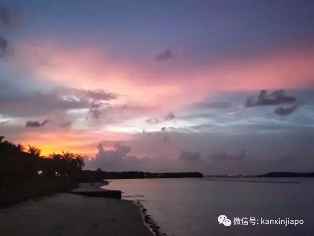 新加坡真是小仙女本尊了,從「仙境」到「末日」,只用了一夜!