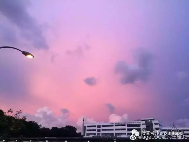 新加坡真是小仙女本尊了,從「仙境」到「末日」,只用了一夜!
