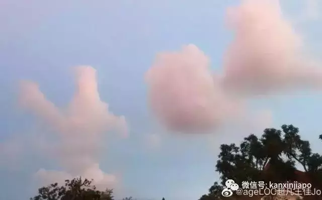 新加坡真是小仙女本尊了,從「仙境」到「末日」,只用了一夜!