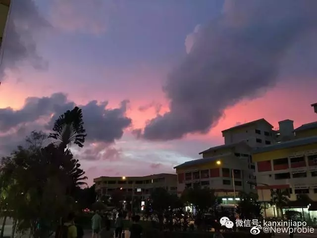 新加坡真是小仙女本尊了,從「仙境」到「末日」,只用了一夜!