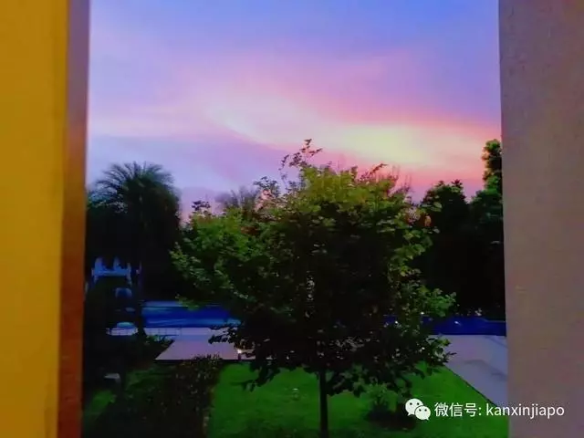 新加坡真是小仙女本尊了,從「仙境」到「末日」,只用了一夜!