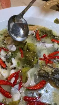 新加坡這家老壇酸菜魚,從淩晨一點開始準備,吃過的人都說好!