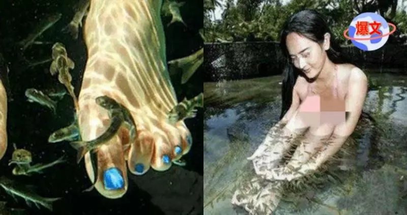 女子做完魚療後沒想到魚全死了, 女子: 對不起, 沒忍住, 魚療還有這效果!