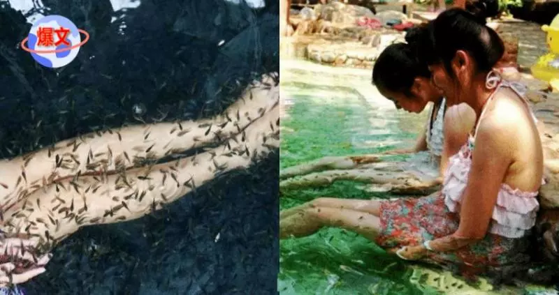 女子三年不洗腳, 閨蜜帶她去魚療, 店主憤怒報警!