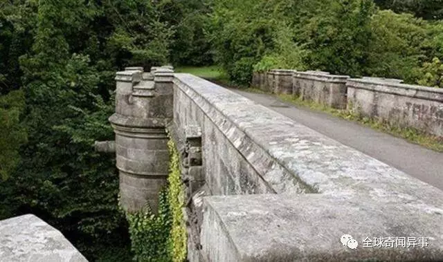 英國這條「鬼橋」讓600條狗跳橋自殺,科學家最後揪出橋下兇手!