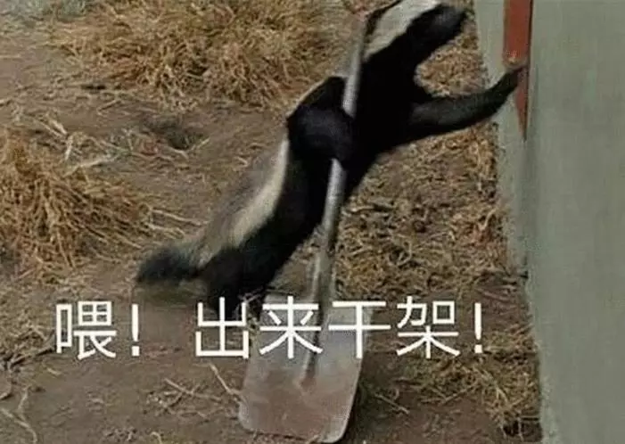 世界上最兇猛的動物, 能單手乾死平頭哥, 被當地人稱為「惡魔」!