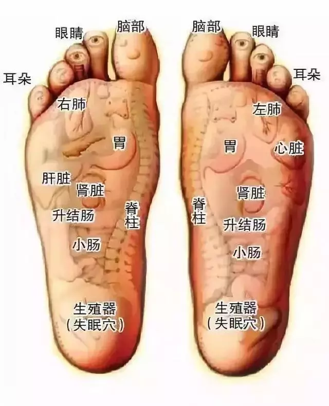 按摩這裡,就是按摩全身,瞬間趕走酸痛疲乏,腰腿強健睡得香!
