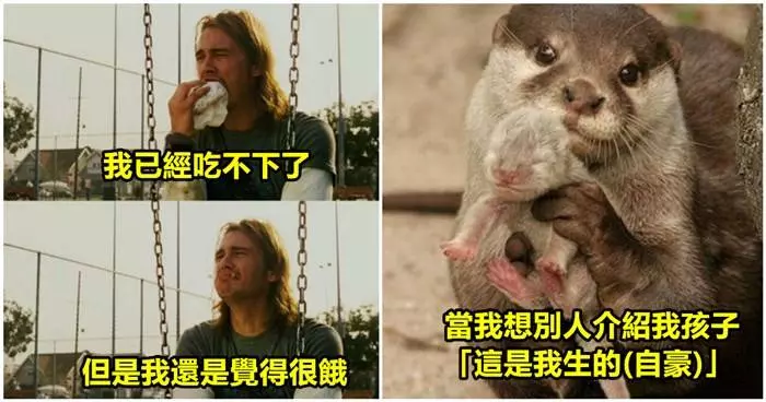 20張每個孕婦都「覺得中肯的懷孕梗圖」