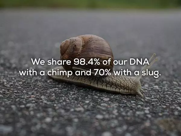 30個會讓你覺得自己的生物課還不及格的人體秘密!