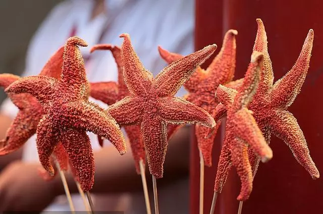 油炸海星什麼味兒?多人品嘗後,竟變成了一個不能提的梗?