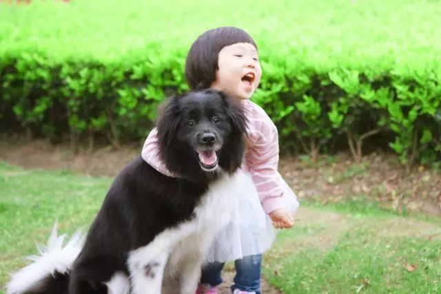 狗狗怕黑並非膽小,寵物幽閉恐懼症才是主因