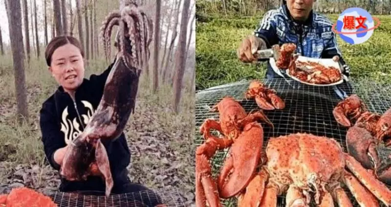網紅吃播不是龍蝦就是帝王蟹,他們條件真這麼好嗎?其實都是套路!