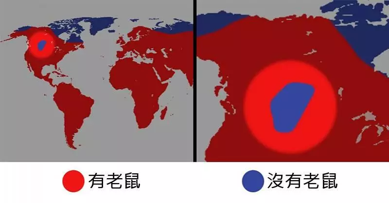 17張「地理老師都不會教你的」世界驚人事實 憑一張圖就告訴你現在「哪個國家最沒良心」