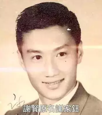 狄波拉是謝霆鋒的母親,28歲嫁浪子!以淚洗面決心離婚…如今67歲帶著現任「與前夫喝茶」:餘生做回自己。