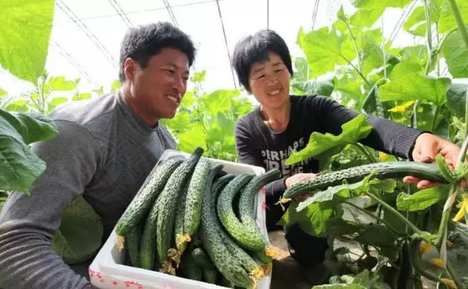 最適合晚上吃的4大水果,尤其是第2種,還能排出體內濕氣,治療便秘,降低膽固醇