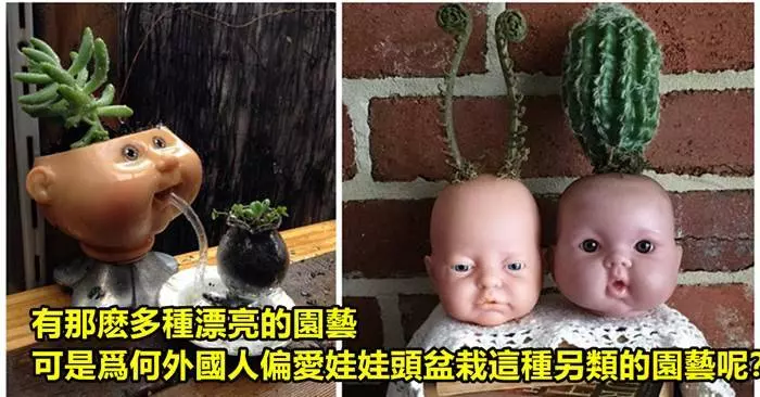 20張「讓人嚇到皮挫挫」的驚悚另類盆栽!