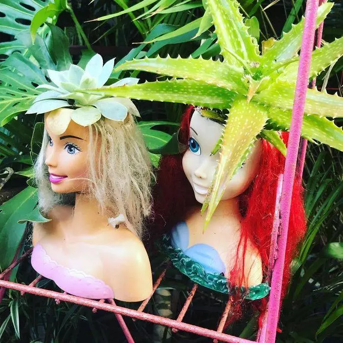 20張「讓人嚇到皮挫挫」的驚悚另類盆栽!