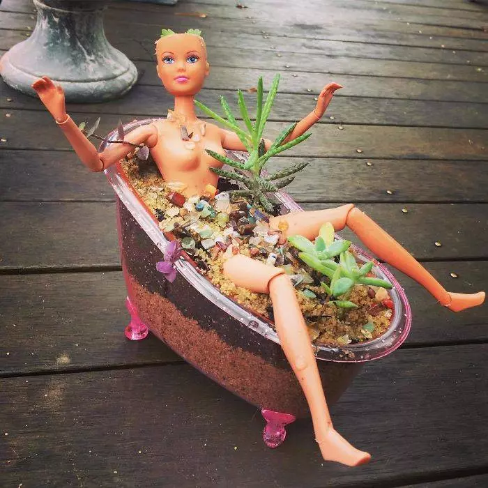 20張「讓人嚇到皮挫挫」的驚悚另類盆栽!