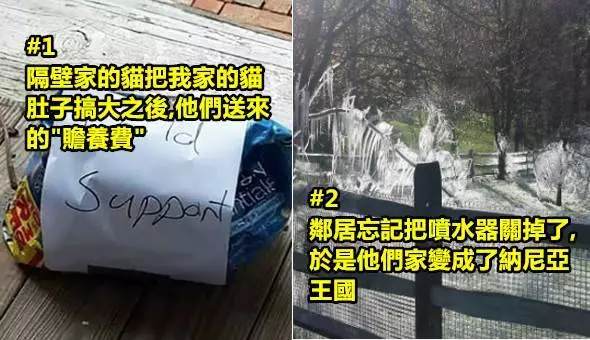 24種讓你每天都有笑話可以看的"好鄰居"!