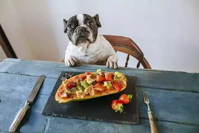 都說狗狗不能攝入食鹽,可為何狗糧中常添加鹽成分?