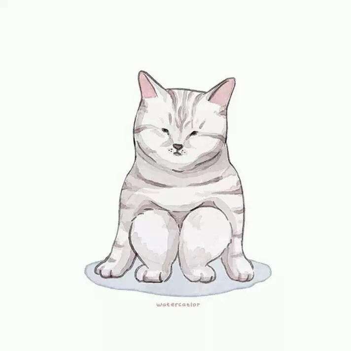 藝術家把「貓皇崩壞照」創作成插畫 「超有戲畫面」笑翻網友:永遠搞不懂牠們!