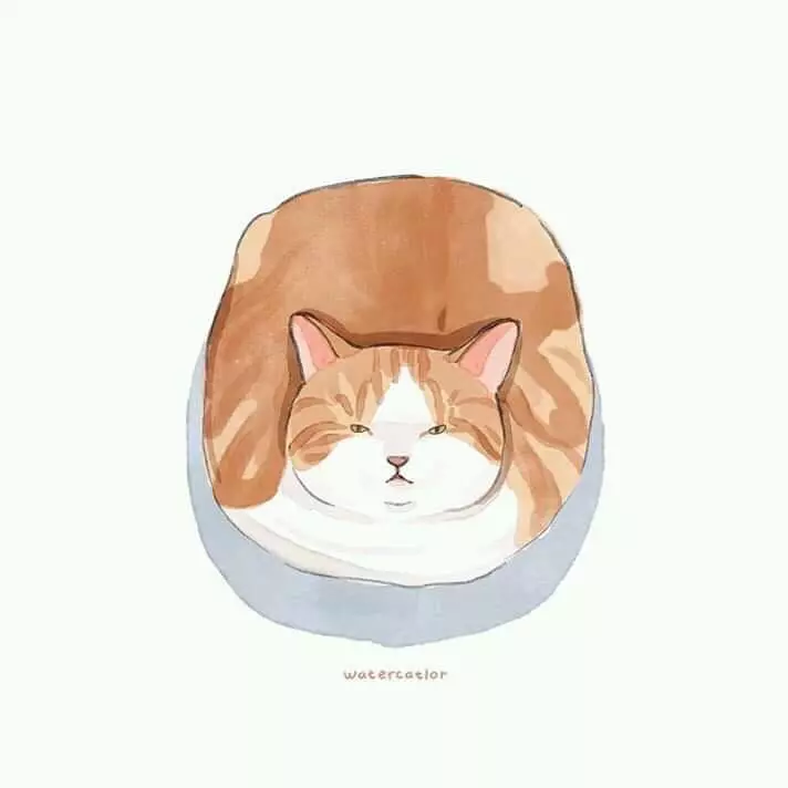 藝術家把「貓皇崩壞照」創作成插畫 「超有戲畫面」笑翻網友:永遠搞不懂牠們!