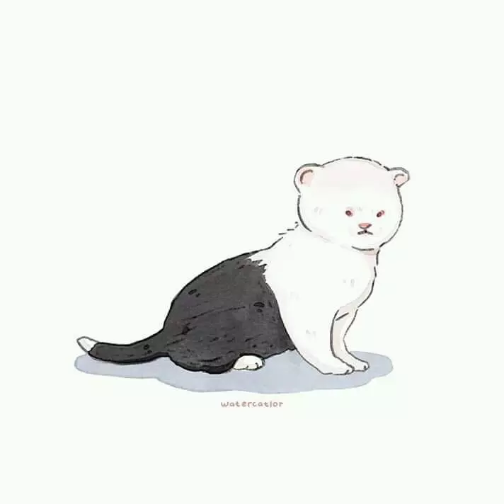 藝術家把「貓皇崩壞照」創作成插畫 「超有戲畫面」笑翻網友:永遠搞不懂牠們!
