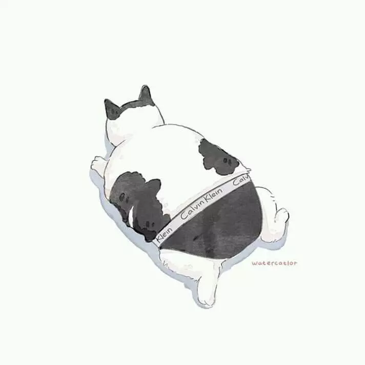 藝術家把「貓皇崩壞照」創作成插畫 「超有戲畫面」笑翻網友:永遠搞不懂牠們!