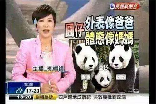 笑到醬?!看到快笑死的「台灣記者圖文集」!挑戰智商下限!XDDD