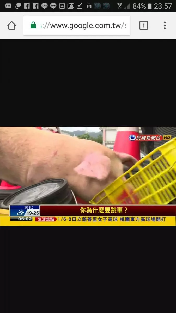 笑到醬?!看到快笑死的「台灣記者圖文集」!挑戰智商下限!XDDD
