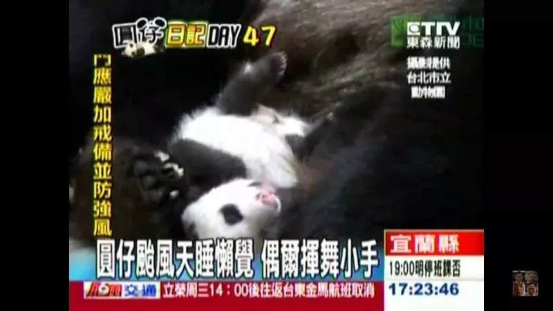 笑到醬?!看到快笑死的「台灣記者圖文集」!挑戰智商下限!XDDD