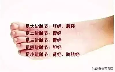 「足背拉一拉,活到九十八」老中醫絕學之經絡篇