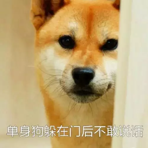 新加坡富豪的婚禮從來不會讓人失望!6000顆施華洛世奇水鑽傍身,新娘媽媽:太少,不夠閃!