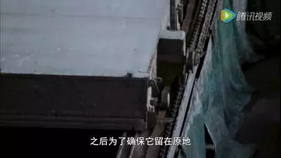 中國禁收洋垃圾後,全世界都在「圍攻"中國!那新加坡呢