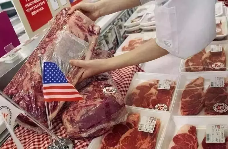 中國展開最大規模取消訂單!一口氣取消3247噸美國豬肉!美國又沒了200多億!特朗普跳腳了!