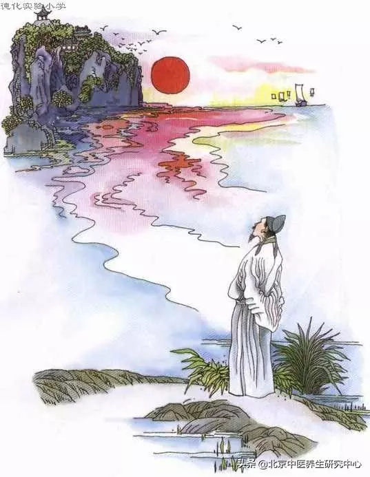 常用中草藥(荔枝)荔枝核可治療心痛、小腸氣痛