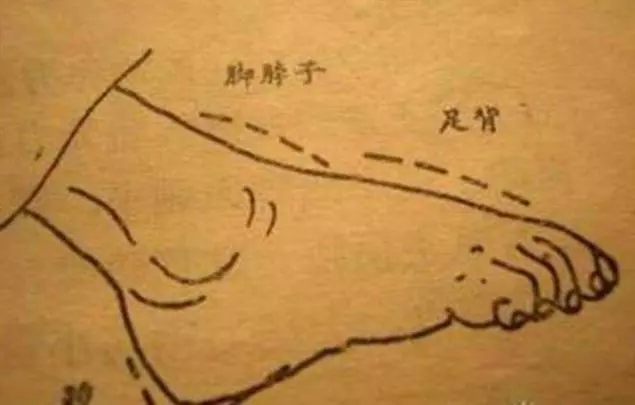 每天拉1拉足背10分鐘,疏通肝、膽、脾、胃4條經絡,少生病人健康