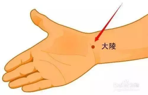 【灸12原穴,斷百病】